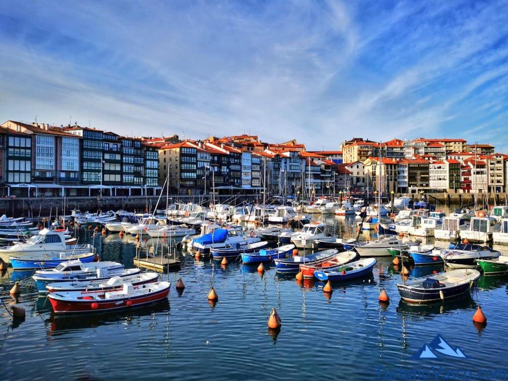 Coqueto Apartamento En El Casco Viejo เลเกย์ตีโอ ภายนอก รูปภาพ